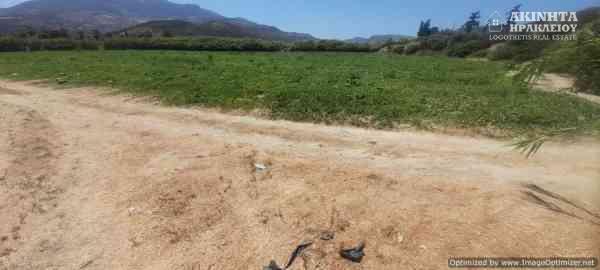 εικόνα_Viber_2025-07-10_14-19-47-336.jpg